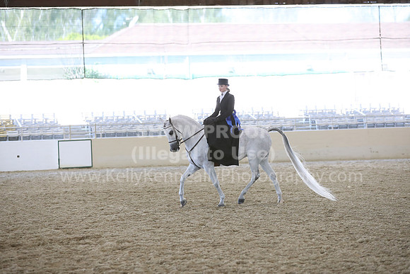 RCAHA19_SatAM_3172