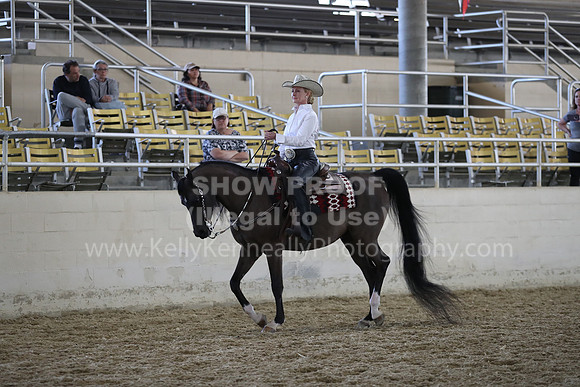 RCAHA19_SatAM_2982
