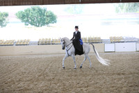 RCAHA19_SatAM_3173