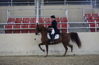 RCAHA19_SatAM_3201