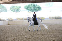 RCAHA19_SatAM_3174