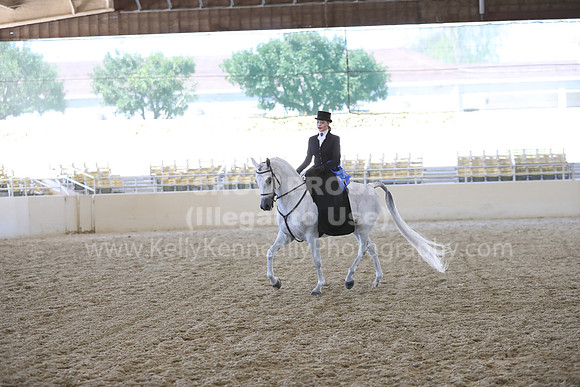 RCAHA19_SatAM_3174