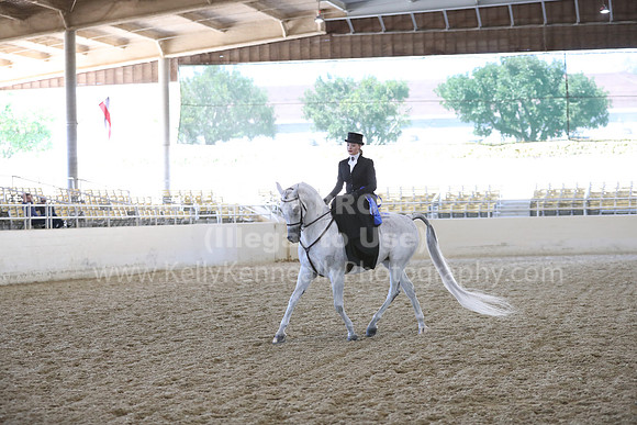 RCAHA19_SatAM_3175