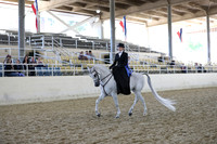 RCAHA19_SatAM_3176