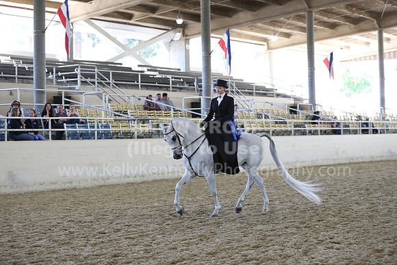 RCAHA19_SatAM_3176