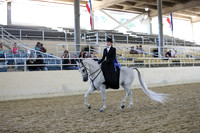RCAHA19_SatAM_3177