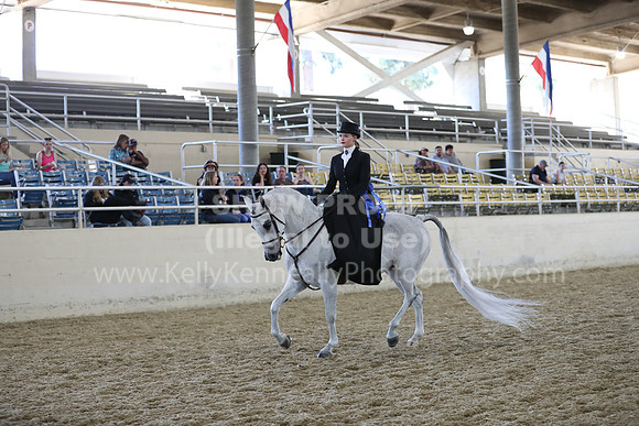RCAHA19_SatAM_3177