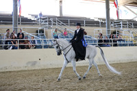 RCAHA19_SatAM_3178