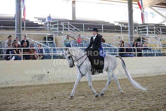 RCAHA19_SatAM_3178
