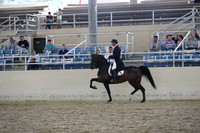 RCAHA19_SatAM_3207