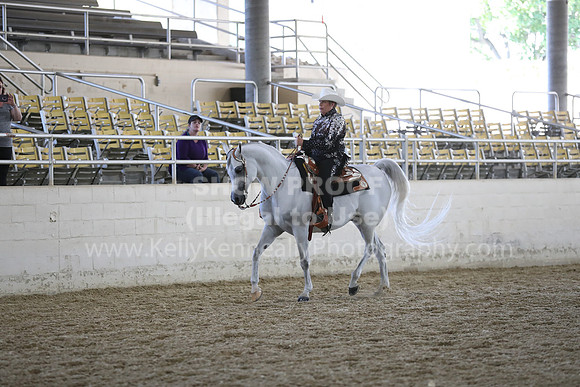 RCAHA19_SatAM_2990
