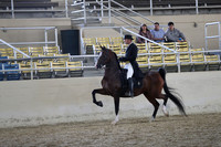 RCAHA19_SatAM_3211