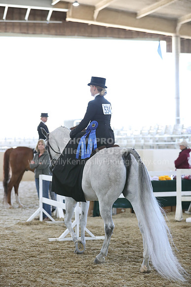 RCAHA19_SatAM_3184