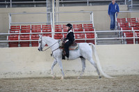 RCAHA19_SatAM_3273