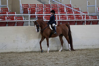 RCAHA19_SatAM_3274