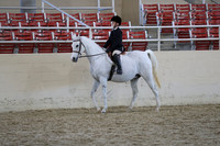 RCAHA19_SatAM_3275