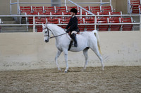 RCAHA19_SatAM_3276