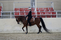 RCAHA19_SatAM_3342