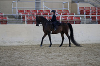 RCAHA19_SatAM_3277