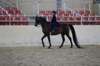 RCAHA19_SatAM_3278