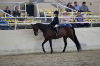 RCAHA19_SatAM_3279