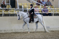 RCAHA19_SatAM_3280