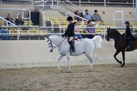 RCAHA19_SatAM_3282