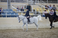 RCAHA19_SatAM_3283