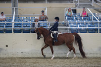 RCAHA19_SatAM_3288