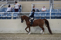 RCAHA19_SatAM_3289