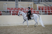 RCAHA19_SatAM_3291
