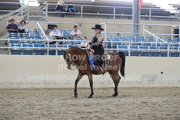RCAHA19_SatAM_3358