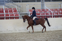 RCAHA19_SatAM_3371