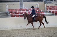 Class 137 Hunt Seat Equitation 14 & Under Not to Jump