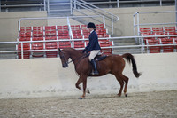 RCAHA19_SatAM_3372