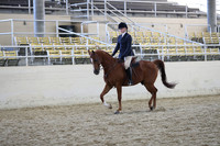 RCAHA19_SatAM_3376