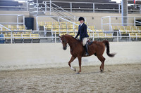 RCAHA19_SatAM_3377