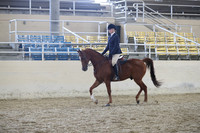 RCAHA19_SatAM_3378