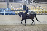 RCAHA19_SatAM_3381