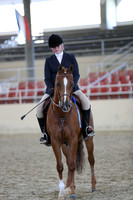 RCAHA19_SatAM_3382