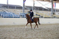 RCAHA19_SatAM_3389
