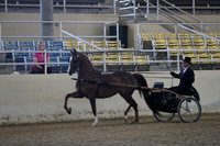RCAHA19_SatPM_3413