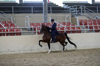RCAHA19_SatPM_4294