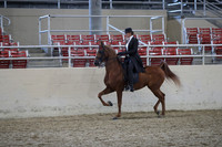 RCAHA19_SatPM_4296