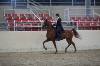 RCAHA19_SatPM_4297