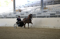 RCAHA19_SatPM_3428