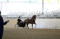 RCAHA19_SatPM_3425