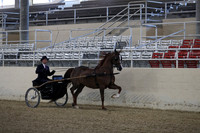 RCAHA19_SatPM_3431