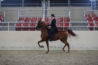 RCAHA19_SatPM_4298
