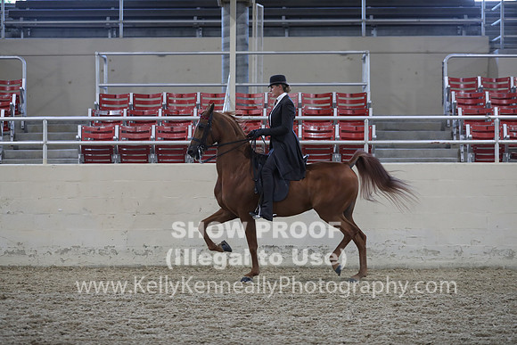 RCAHA19_SatPM_4298